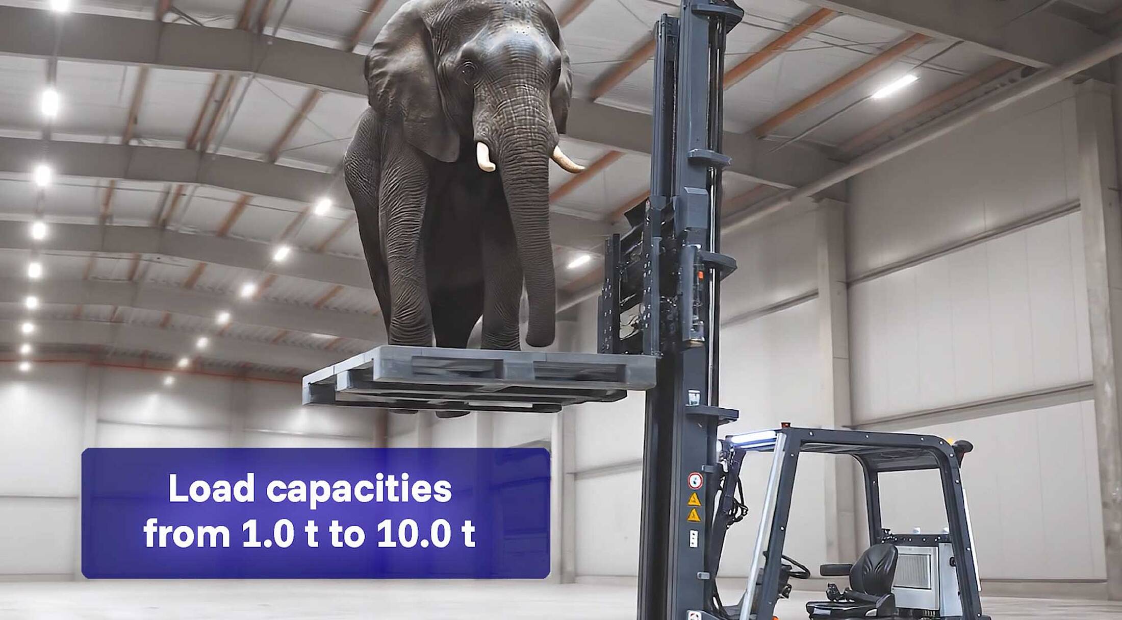Elefant auf Stapler