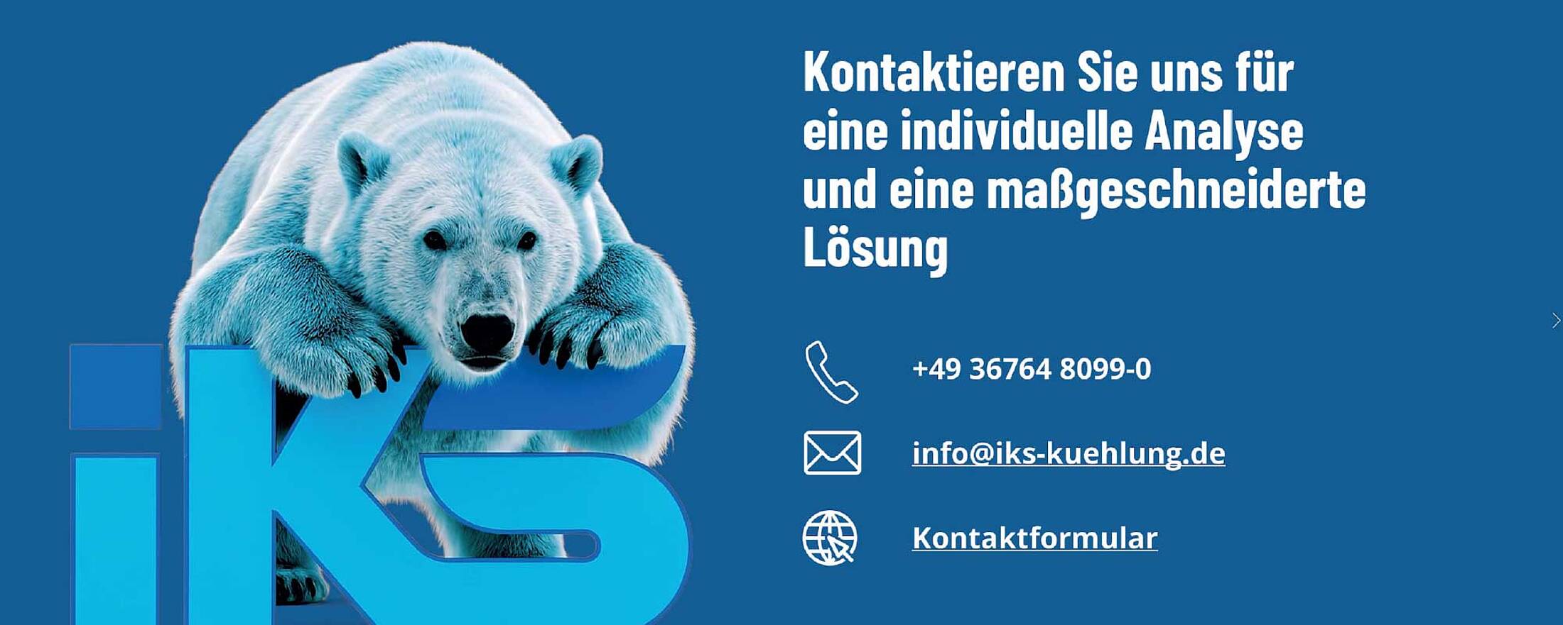 IKS Kontakt mmit Eisbär auf Logo
